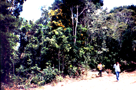 Registros de campo da equipe do projeto ACS