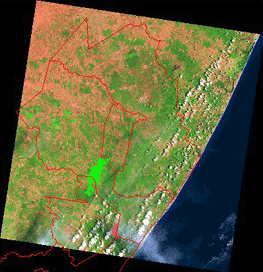 Mapa de satélite da área de estudo